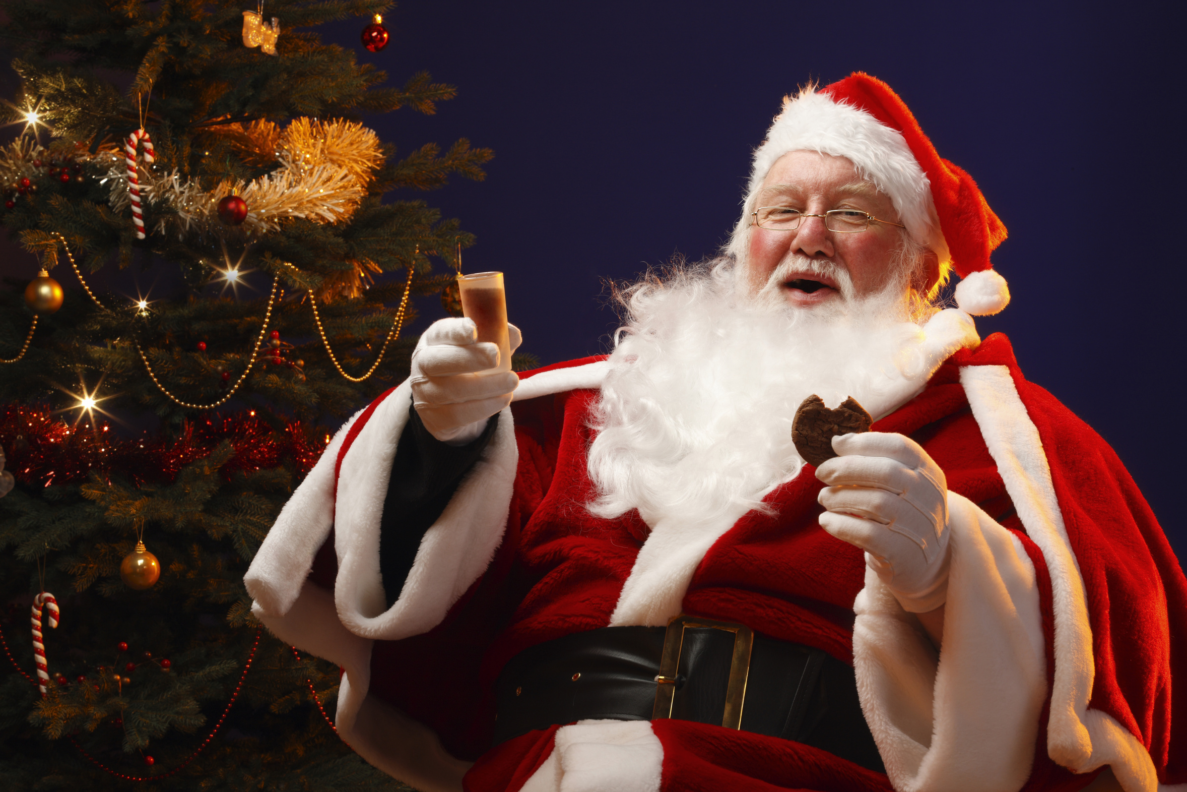 Santa Claus drinking sherry and eating a cookie by the fireplace and Christmas tree